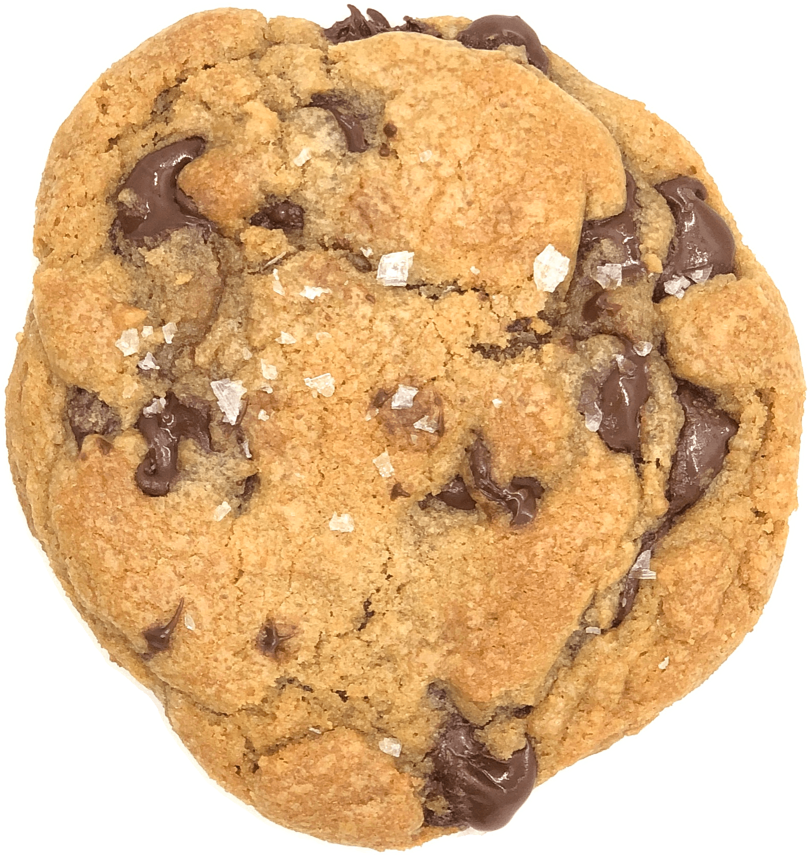 Brown Butter Chocolate Chip Cookie Brown Butter Chocolate Chip Cookie